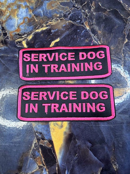 Service dog in training velcro patch top